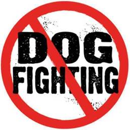dog_fighting_circle.jpg image by wolf_woman_59