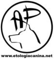 Enlace recomendado por AEPE