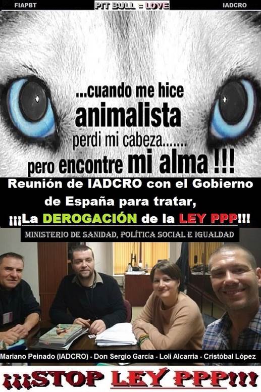 00 00 00 CUANDO ME HICE ANIMALISTA PERDI MICABEZA PERO ENCONTRE MI ALMA INFORMANDO 2