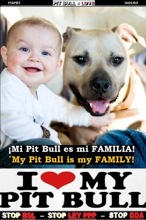 -00 00 00 00 MI PIT BULL ES MI FAMILIA