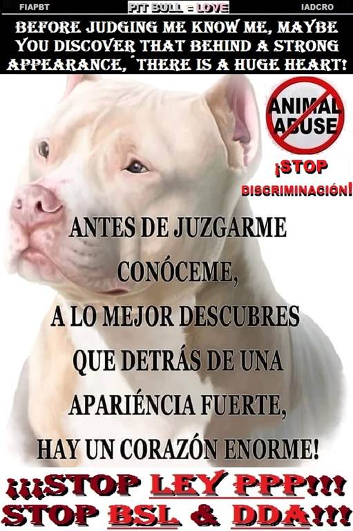 - 00 00 ANTES DE JUZGARME CONOCEME