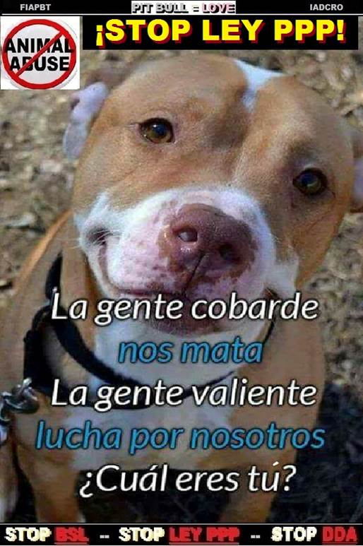 - 00 00 00 00 00 00  00 RESPUESTA A NARCO V APBT
