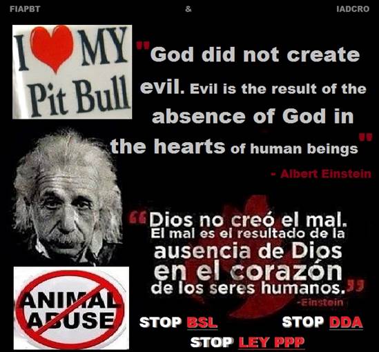 - 00 EINSTEIN