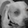 APBT EN BIZKAIA