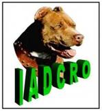 IADCRO ESPAA