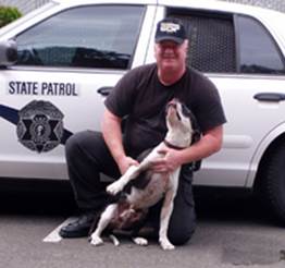 http://www.pitbulls-fighting-for-their-lives.com/images/k9_luckylawdogsusa.jpg