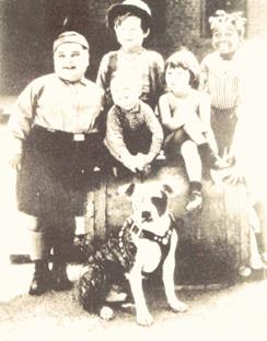 http://www.fiapbt.net/Image40.gif
