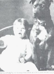 http://www.fiapbt.net/Image42.gif