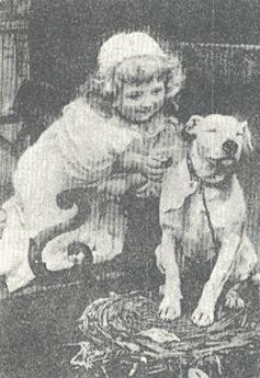 http://www.fiapbt.net/Image96.gif