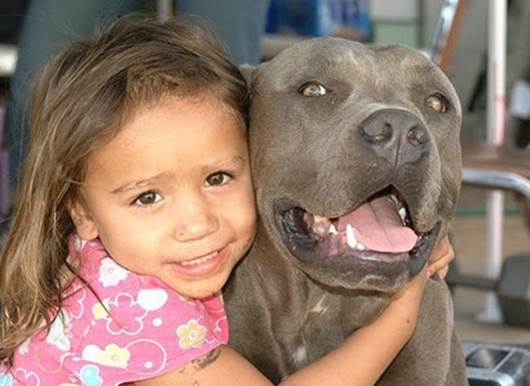 young girl and her pitbull[1]
