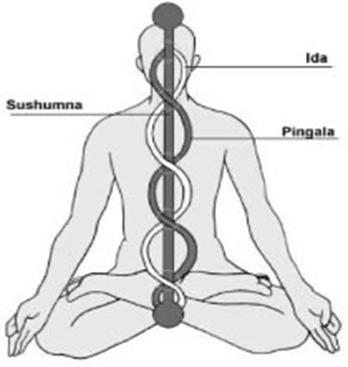 grafico-kundalini-yoga[1]