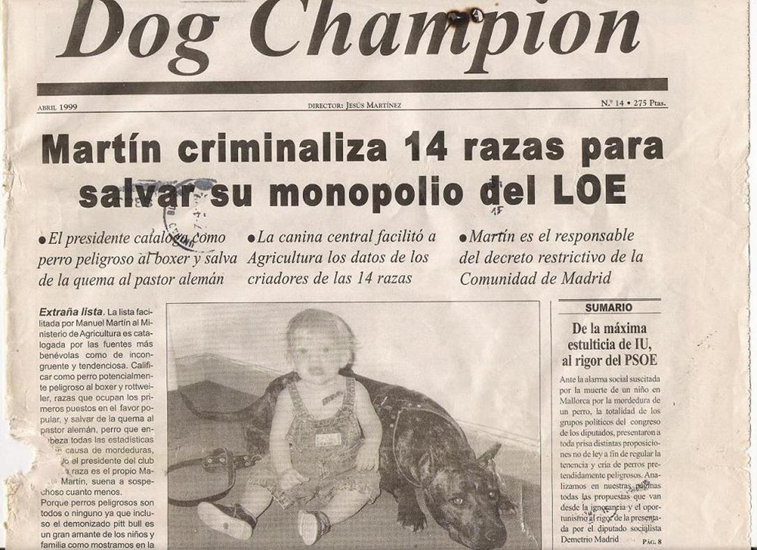 Copia de Dogchampion
