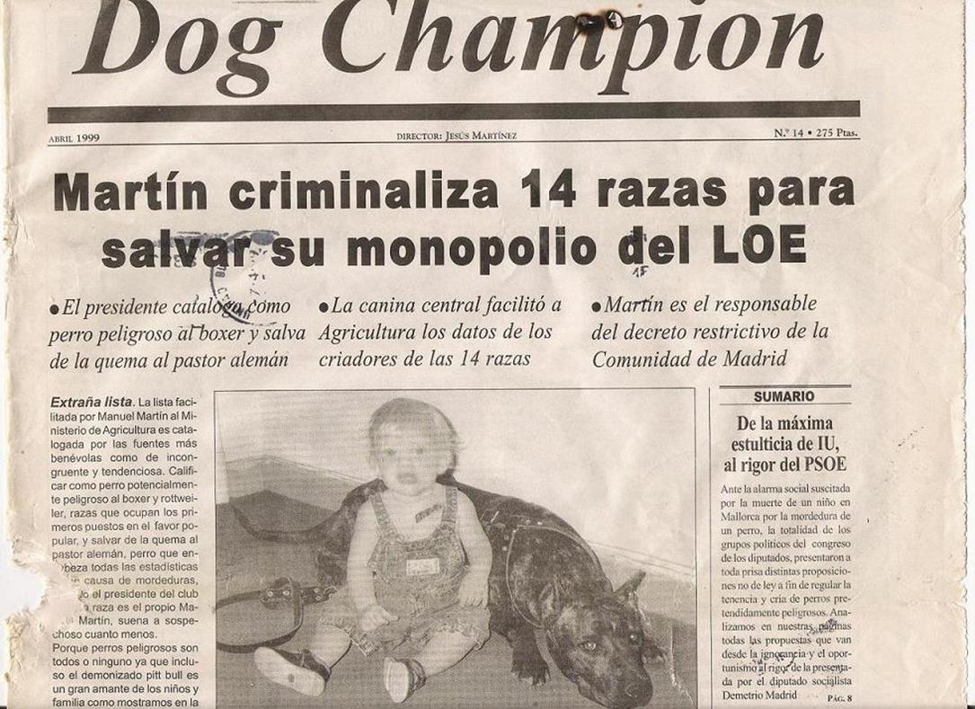 Copia de Dogchampion