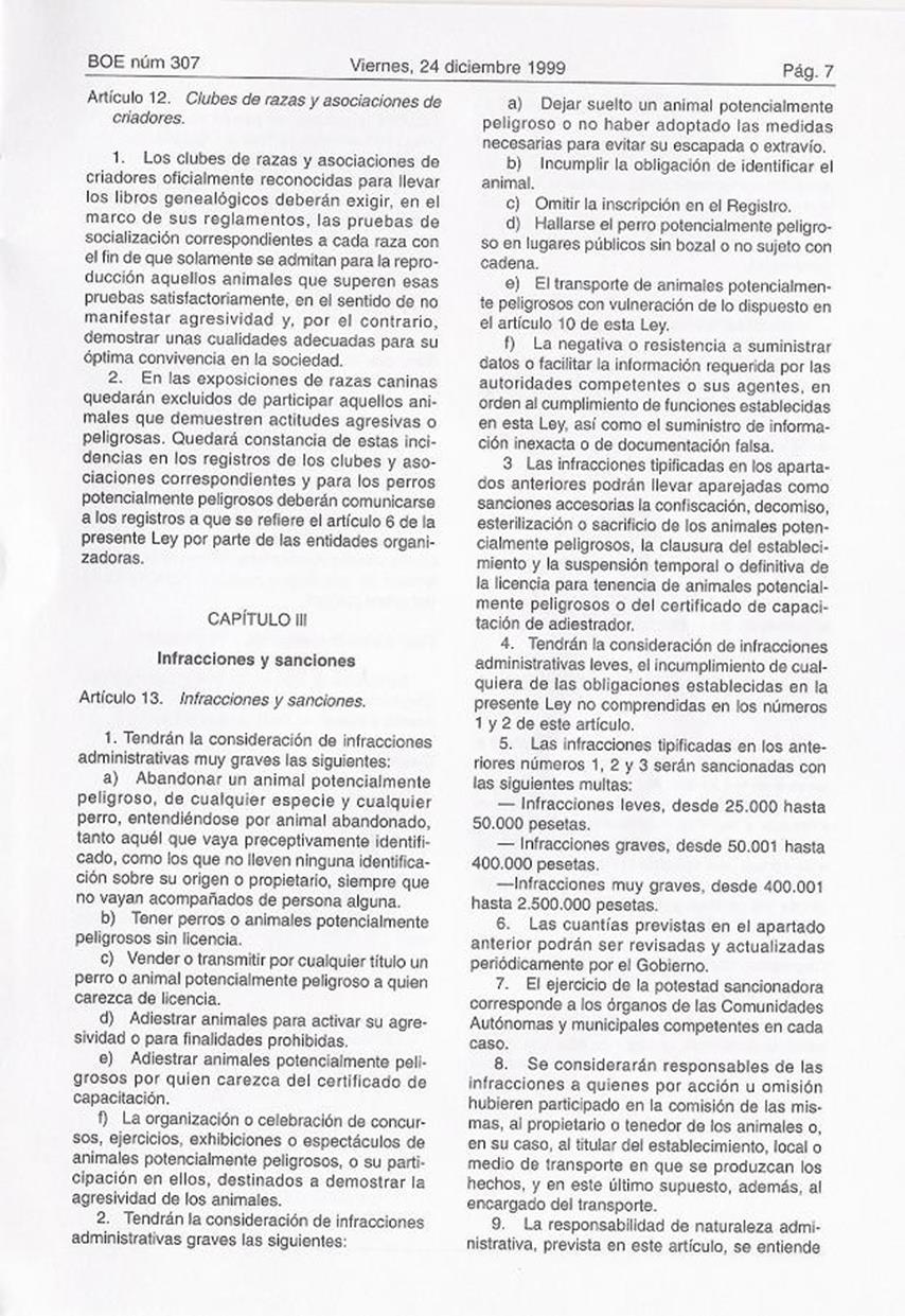 Copia de BOE Numero 307 (5)