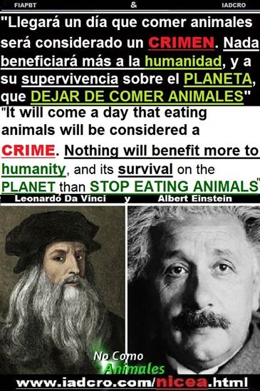 - 00 00 DA VINCI Y EINSTEIN NO COMER CARNE