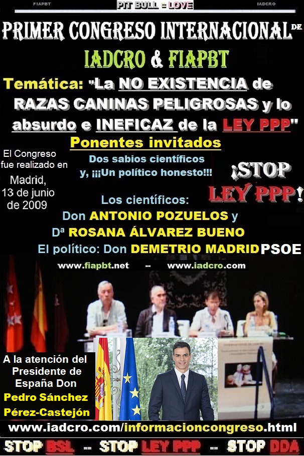 PEDRO SANCHEZ PRESIDENTE DEL GOBIERNO