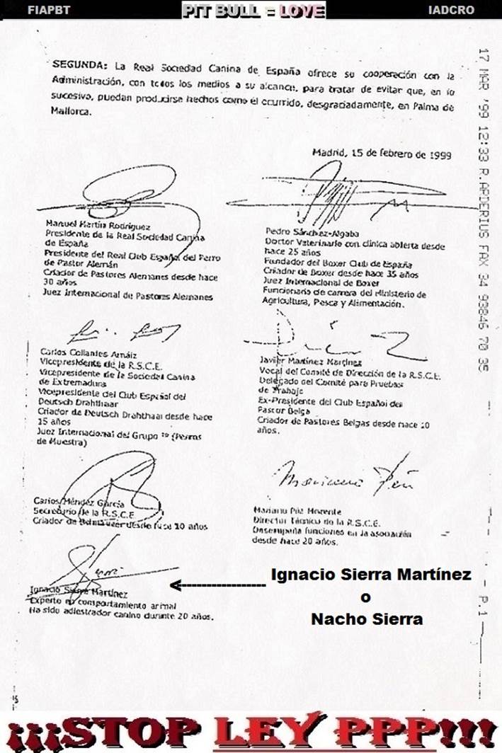 -00 00 00 00 FIRMA DE NACHO SIERRA